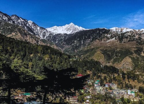 Top Tourist Attractions in Dharamshala | Best Travel Tour Guides