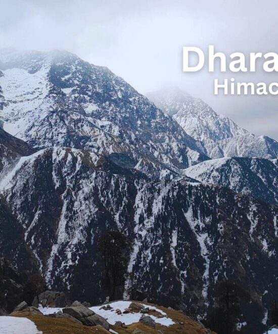 Discover Dharamshala: A Himalayan Haven of Serenity, Adventure, and World-Class Cricket