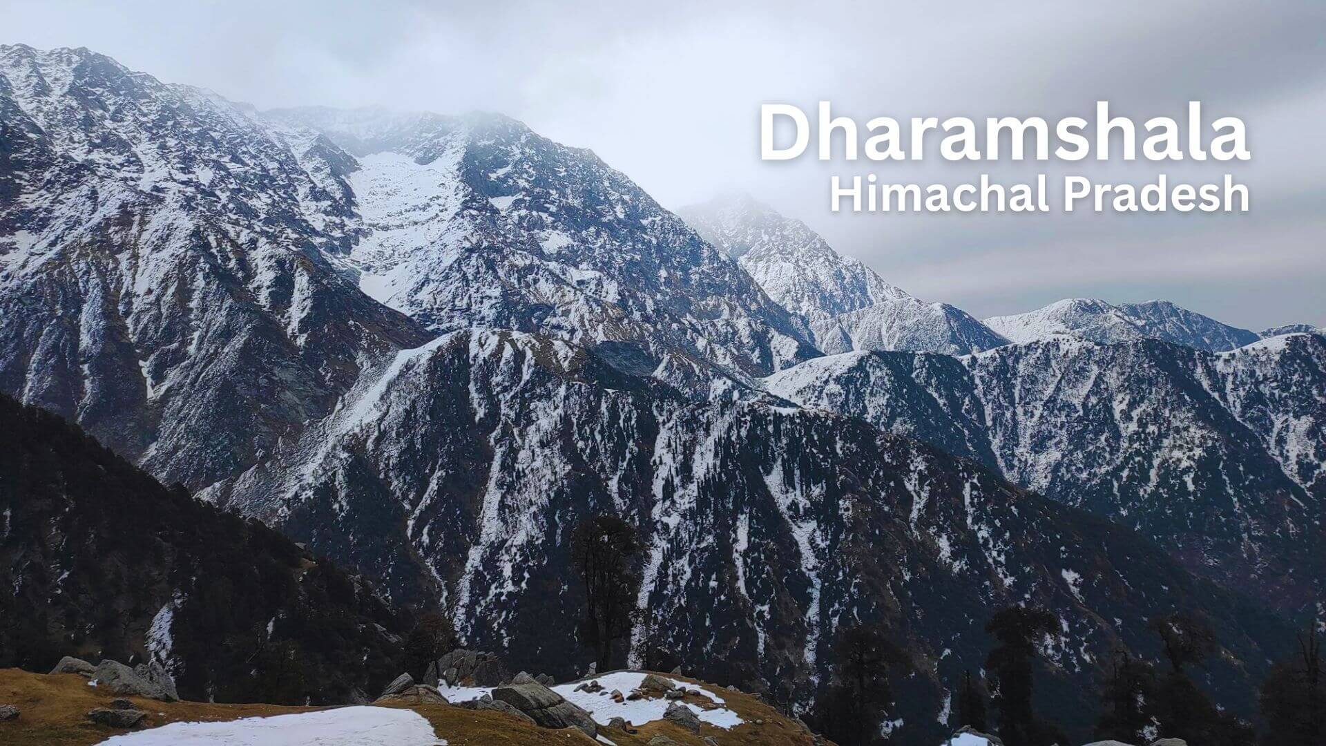 Breathtaking view of Dharamshala nestled in the lap of the Dhauladhar mountains, where nature meets serenity.