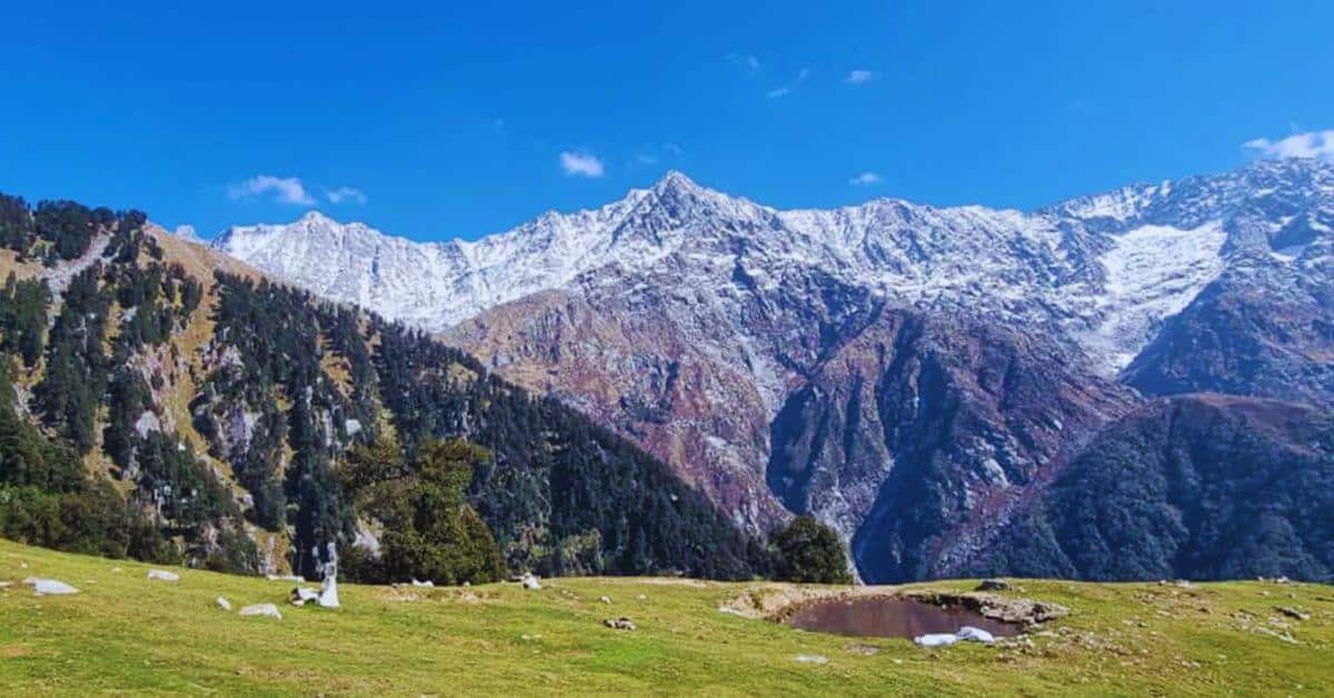 Stunning views from the top during Triund Trek for Beginners – the easiest Himalayan hike near Dharamshala, perfect for first-time adventurers.
