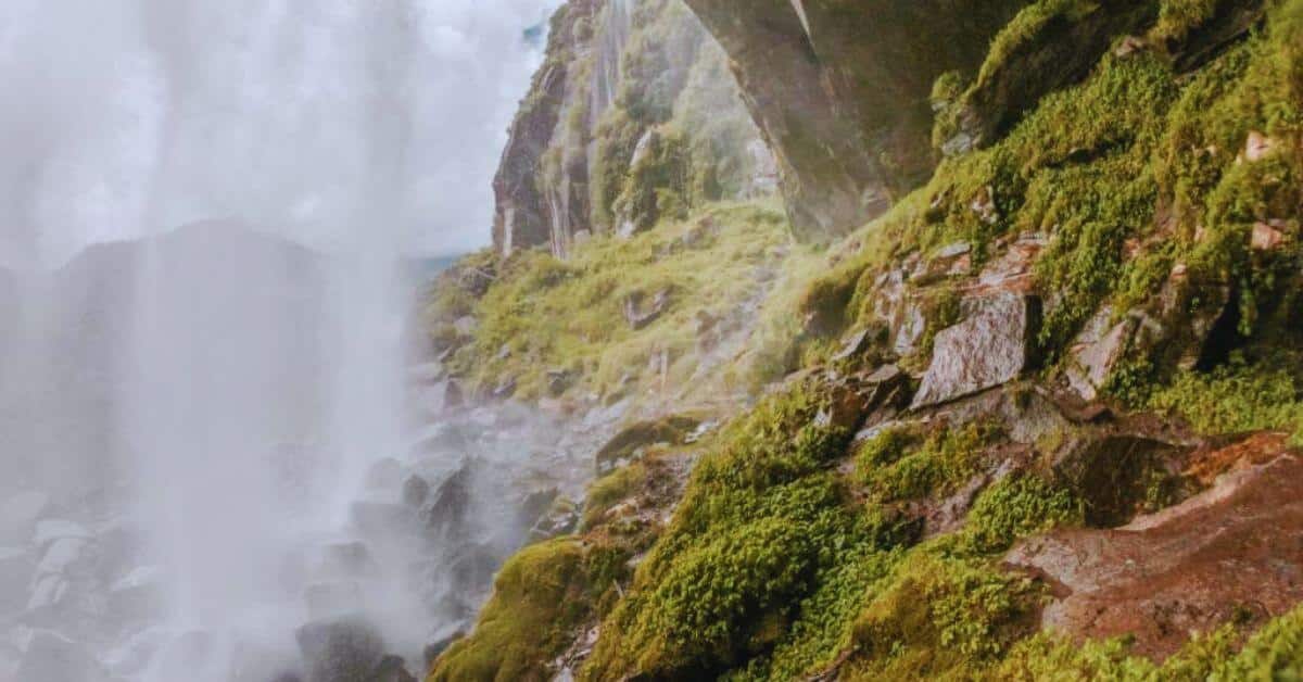Discover the untouched beauty of the Himalayas with the best offbeat treks near Dharamshala—escape the crowds and explore the wild like never before.