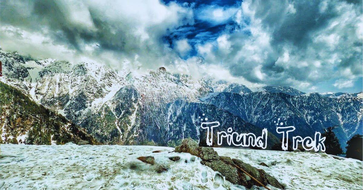 Stunning views from the top during Triund Trek for Beginners – the easiest Himalayan hike near Dharamshala, perfect for first-time adventurers.