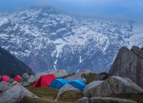 Triund Trek for Beginners: Your Complete Guide to the Easiest Himalayan Hike in Dharamshala