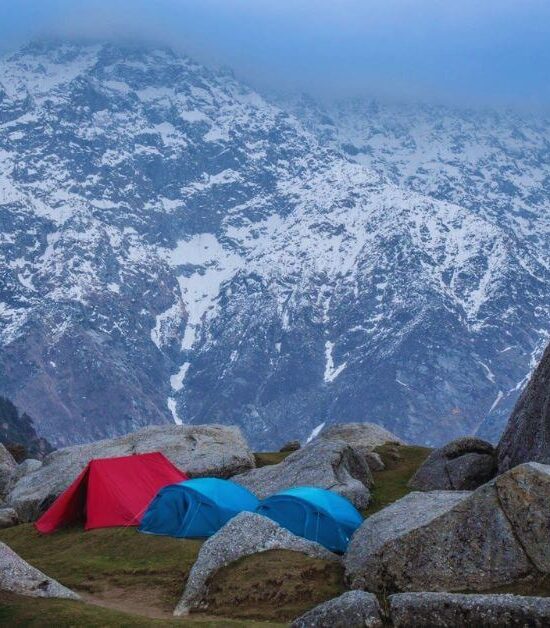 Triund Trek for Beginners: Your Complete Guide to the Easiest Himalayan Hike in Dharamshala