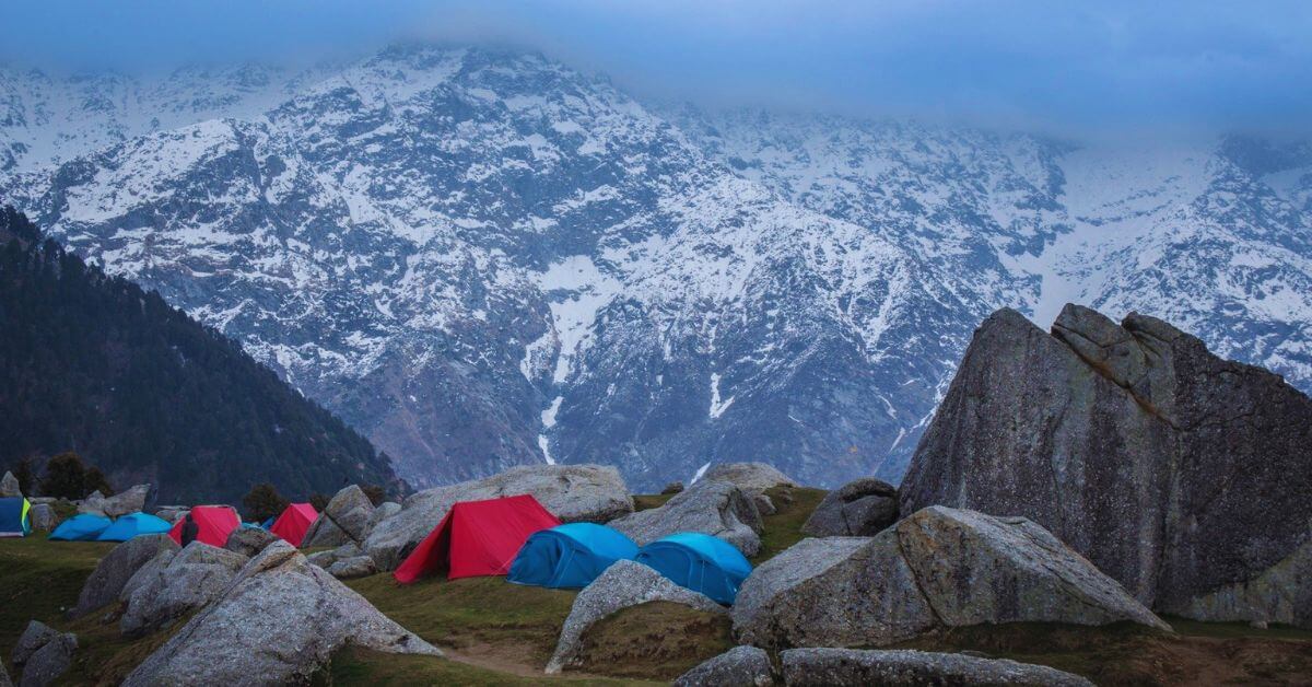 Stunning views from the top during Triund Trek for Beginners – the easiest Himalayan hike near Dharamshala, perfect for first-time adventurers.