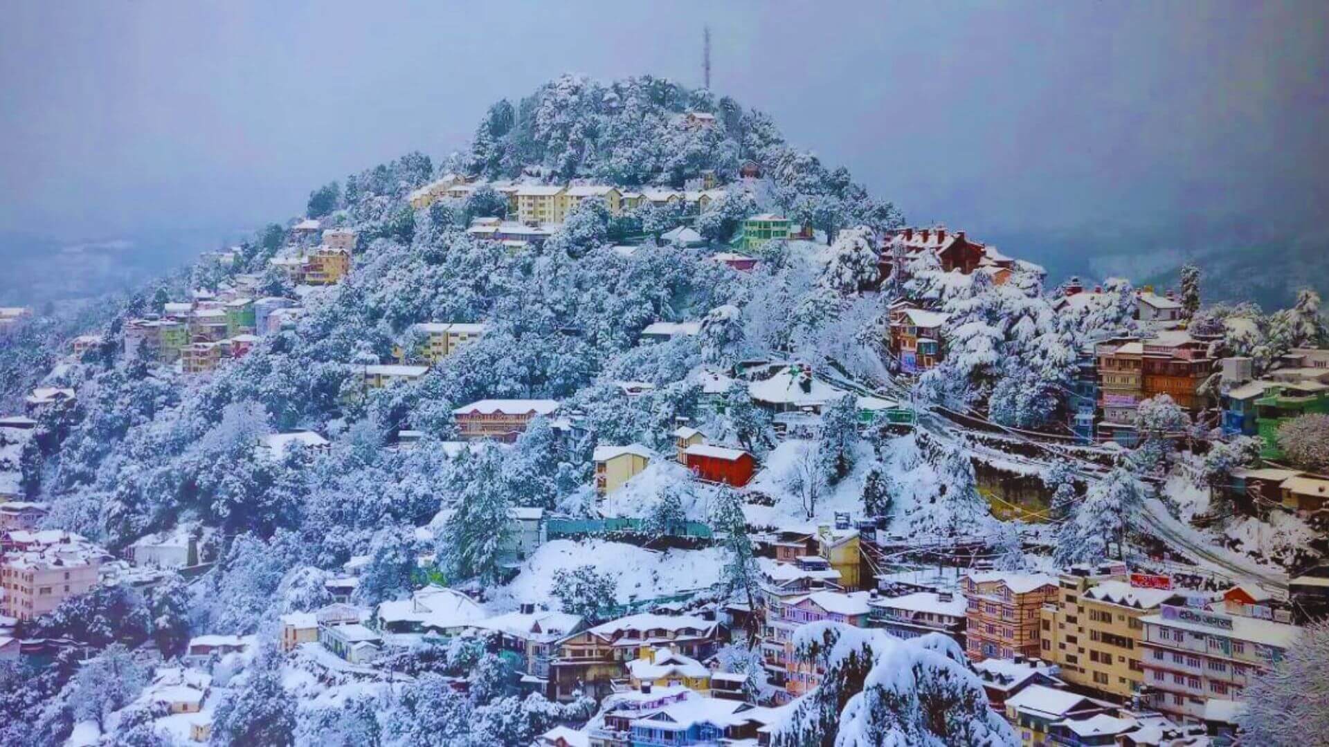 Breathtaking view of Dharamshala nestled in the lap of the Dhauladhar mountains, where nature meets serenity.