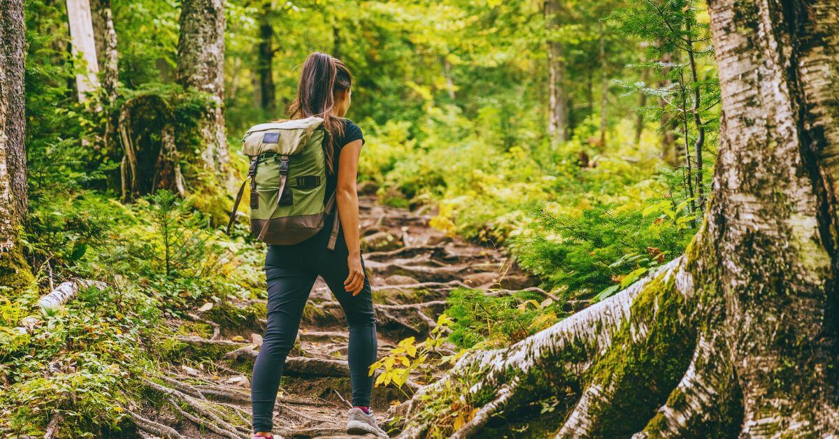 Stunning views from the top during Triund Trek for Beginners – the easiest Himalayan hike near Dharamshala, perfect for first-time adventurers.
