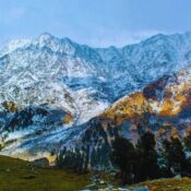 Majestic views of Kangra Valley, Himachal Pradesh — where emerald forests, terraced fields, and snow-capped Dhauladhar peaks create nature’s perfect harmony.