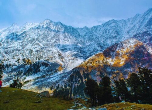 A Complete Travel Guide to Kangra Valley: Things to Do, See & Eat | Discover the Enchanting Beauty of Himachal Pradesh’s Hidden Gem