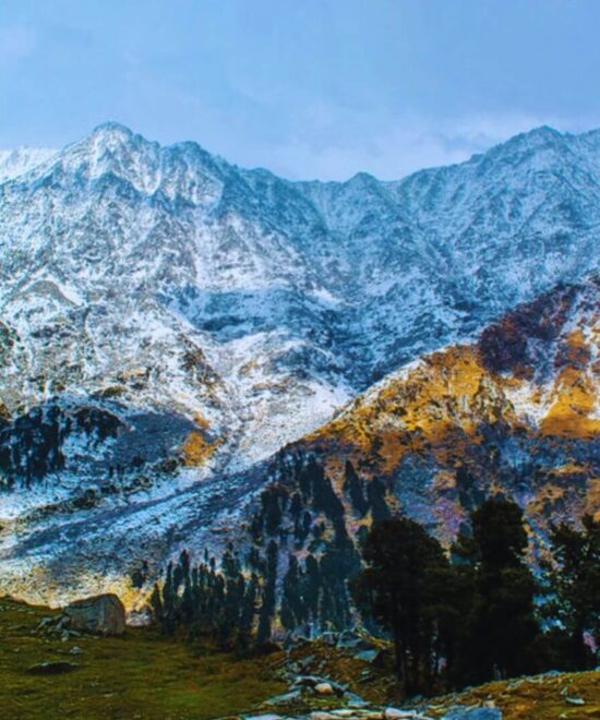 A Complete Travel Guide to Kangra Valley: Things to Do, See & Eat | Discover the Enchanting Beauty of Himachal Pradesh’s Hidden Gem